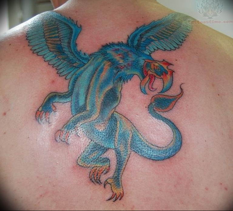photo tattoo griffin 04.03.2019 №071 - idea for drawing a tattoo with a griffin - tattoovalue.net