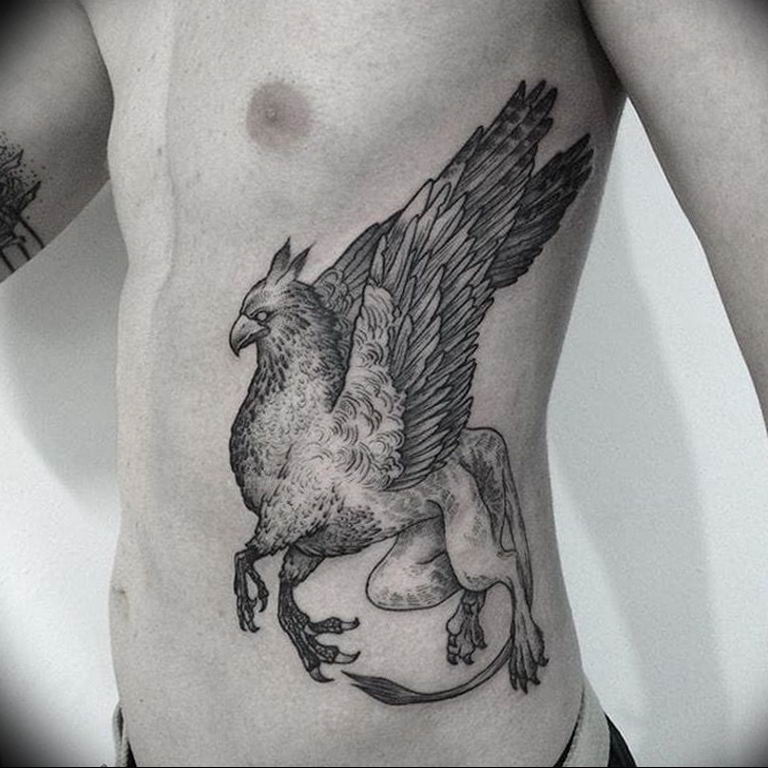photo tattoo griffin 04.03.2019 №072 - idea for drawing a tattoo with a griffin - tattoovalue.net
