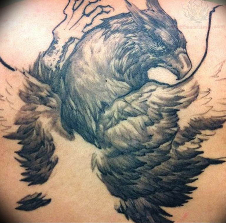 photo tattoo griffin 04.03.2019 №076 - idea for drawing a tattoo with a griffin - tattoovalue.net