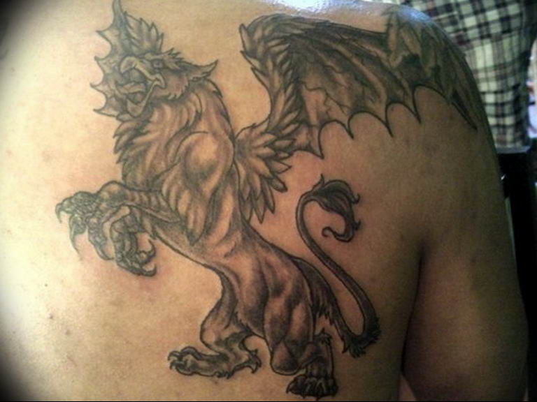 photo tattoo griffin 04.03.2019 №079 - idea for drawing a tattoo with a griffin - tattoovalue.net