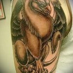 photo tattoo griffin 04.03.2019 №081 - idea for drawing a tattoo with a griffin - tattoovalue.net