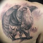 photo tattoo griffin 04.03.2019 №083 - idea for drawing a tattoo with a griffin - tattoovalue.net