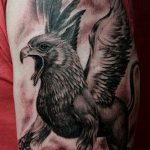 photo tattoo griffin 04.03.2019 №085 - idea for drawing a tattoo with a griffin - tattoovalue.net
