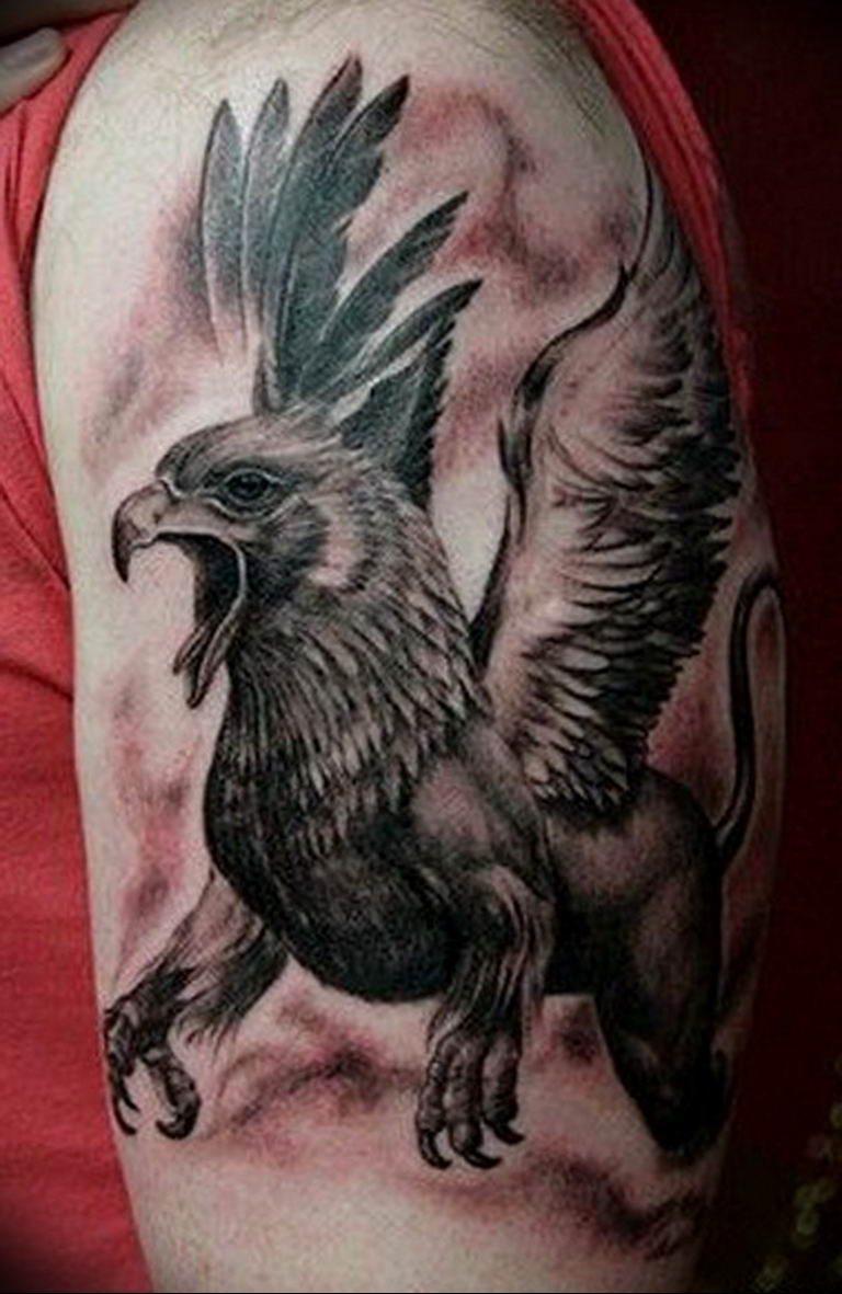 photo tattoo griffin 04.03.2019 №085 - idea for drawing a tattoo with a griffin - tattoovalue.net