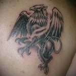 photo tattoo griffin 04.03.2019 №086 - idea for drawing a tattoo with a griffin - tattoovalue.net