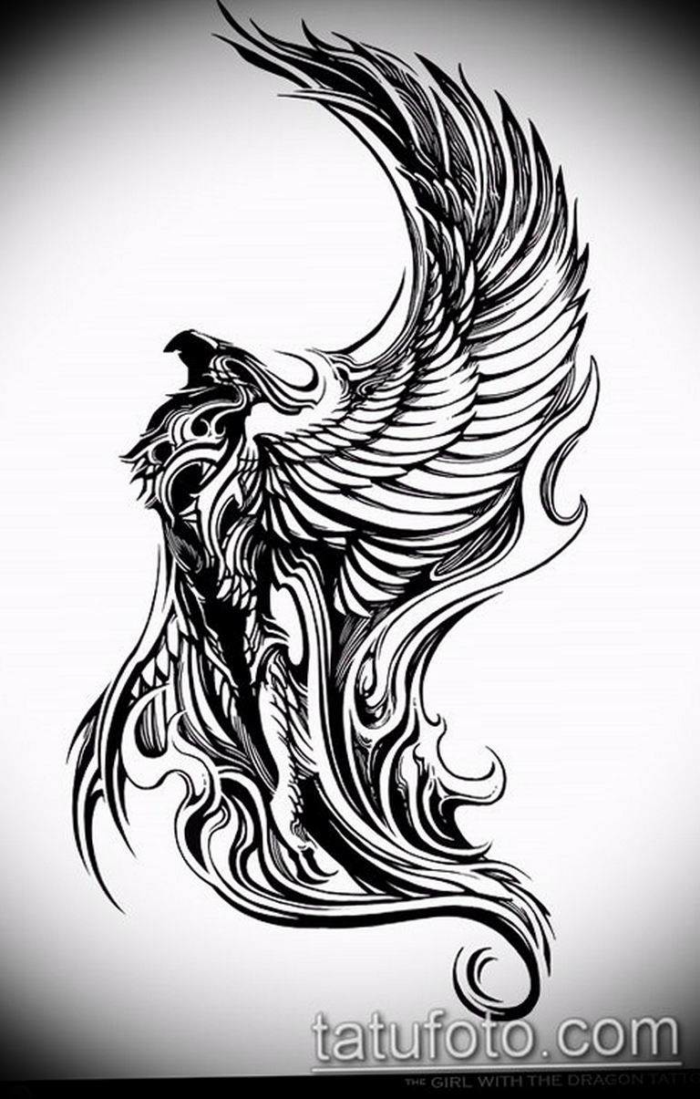 photo tattoo griffin 04.03.2019 №091 - idea for drawing a tattoo with a griffin - tattoovalue.net