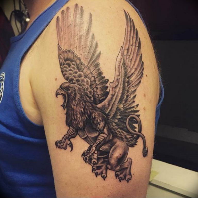 photo tattoo griffin 04.03.2019 №092 - idea for drawing a tattoo with a griffin - tattoovalue.net