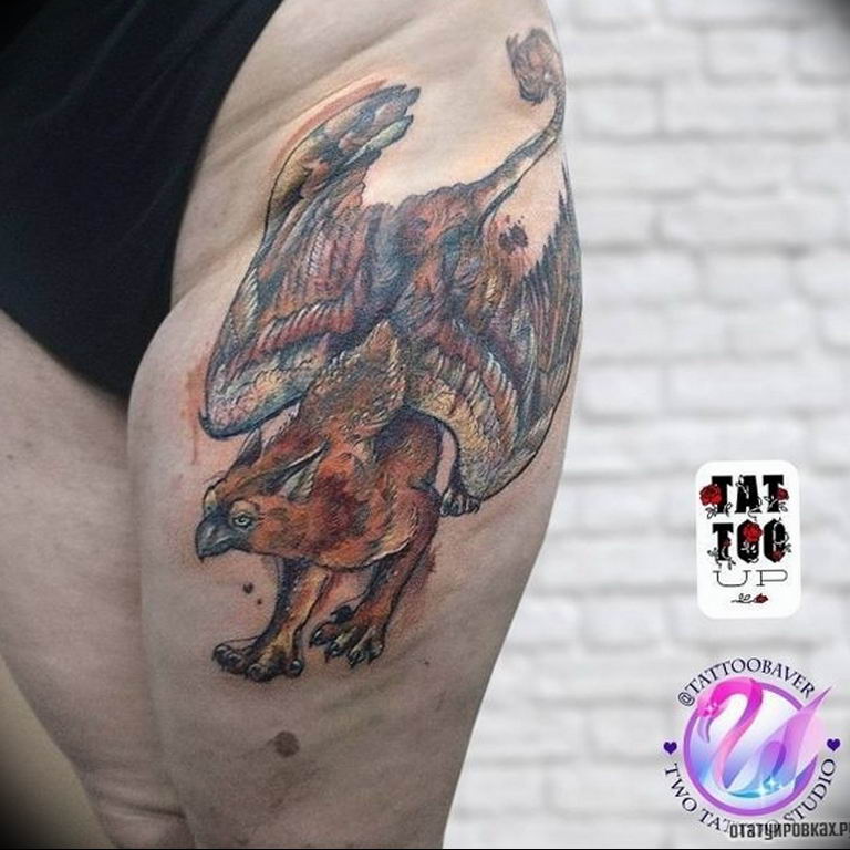 photo tattoo griffin 04.03.2019 №097 - idea for drawing a tattoo with a griffin - tattoovalue.net
