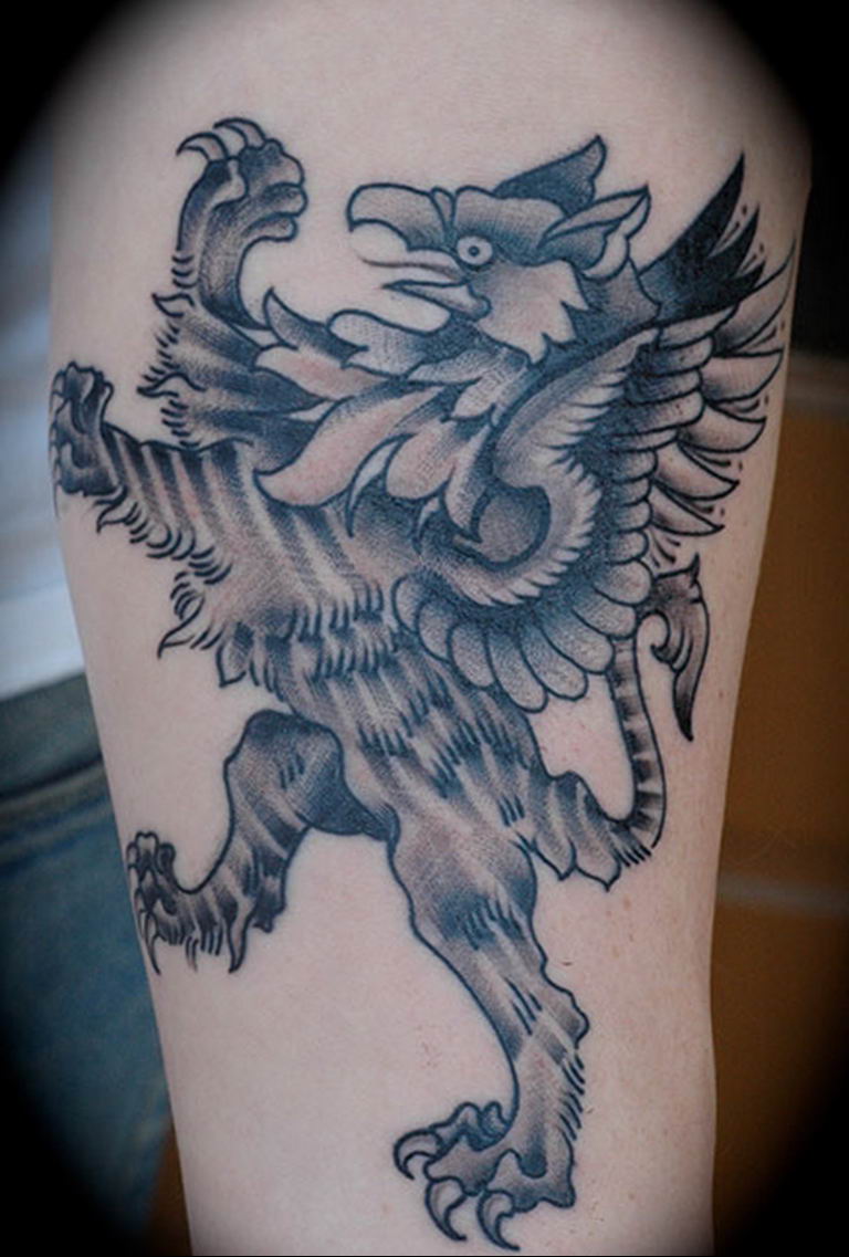 photo tattoo griffin 04.03.2019 №099 - idea for drawing a tattoo with a griffin - tattoovalue.net