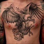 photo tattoo griffin 04.03.2019 №100 - idea for drawing a tattoo with a griffin - tattoovalue.net