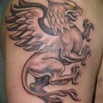 photo tattoo griffin 04.03.2019 №101 - idea for drawing a tattoo with a griffin - tattoovalue.net