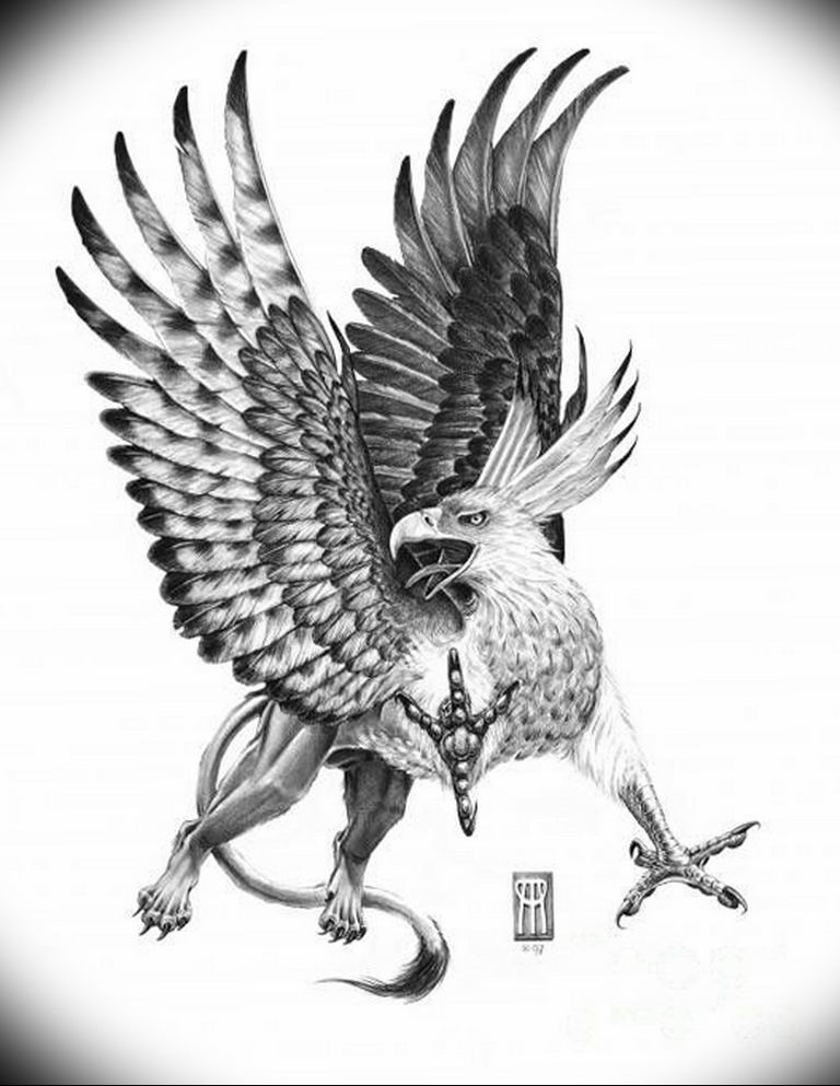 photo tattoo griffin 04.03.2019 №102 - idea for drawing a tattoo with a griffin - tattoovalue.net