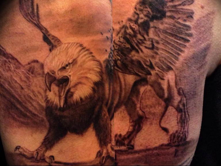 photo tattoo griffin 04.03.2019 №103 - idea for drawing a tattoo with a griffin - tattoovalue.net