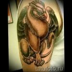 photo tattoo griffin 04.03.2019 №104 - idea for drawing a tattoo with a griffin - tattoovalue.net