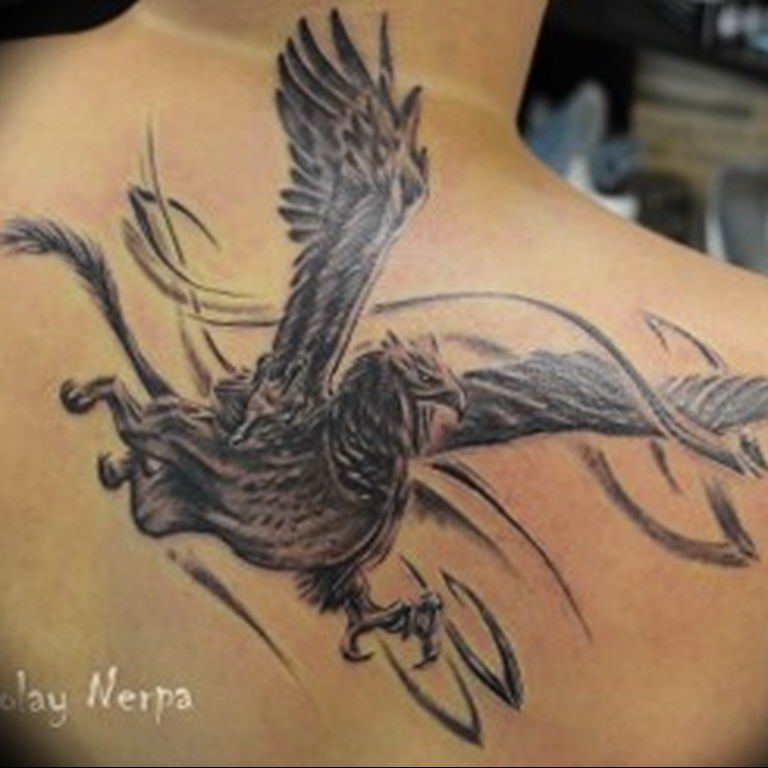 photo tattoo griffin 04.03.2019 №106 - idea for drawing a tattoo with a griffin - tattoovalue.net