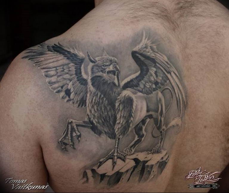 photo tattoo griffin 04.03.2019 №107 - idea for drawing a tattoo with a griffin - tattoovalue.net
