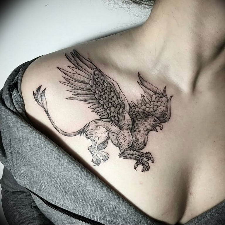 photo tattoo griffin 04.03.2019 №108 - idea for drawing a tattoo with a griffin - tattoovalue.net