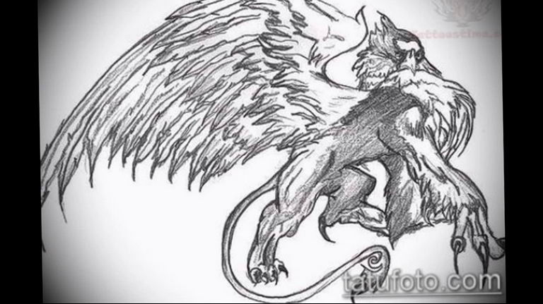 photo tattoo griffin 04.03.2019 №110 - idea for drawing a tattoo with a griffin - tattoovalue.net