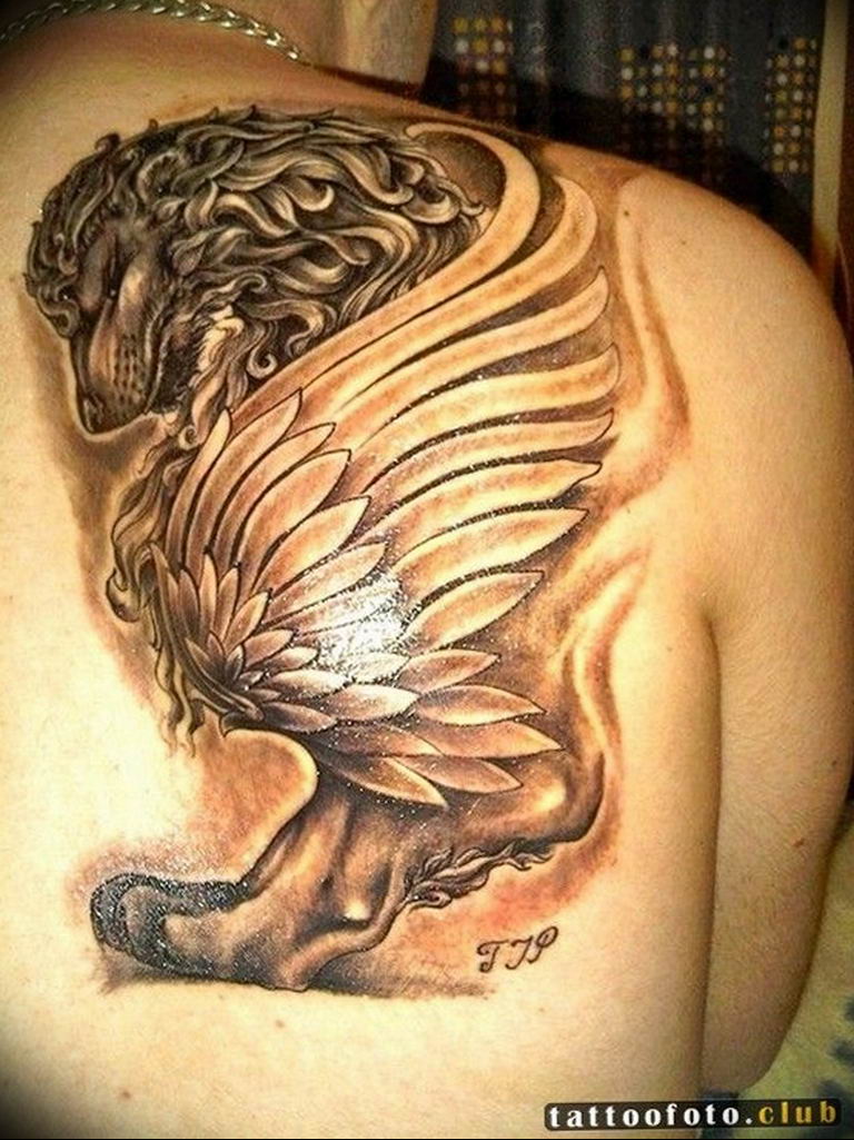 photo tattoo griffin 04.03.2019 №111 - idea for drawing a tattoo with a griffin - tattoovalue.net