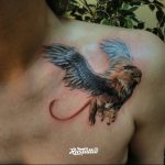 photo tattoo griffin 04.03.2019 №112 - idea for drawing a tattoo with a griffin - tattoovalue.net