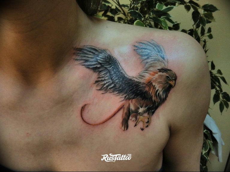 photo tattoo griffin 04.03.2019 №112 - idea for drawing a tattoo with a griffin - tattoovalue.net
