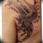 photo tattoo griffin 04.03.2019 №117 - idea for drawing a tattoo with a griffin - tattoovalue.net