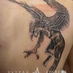 photo tattoo griffin 04.03.2019 №119 - idea for drawing a tattoo with a griffin - tattoovalue.net