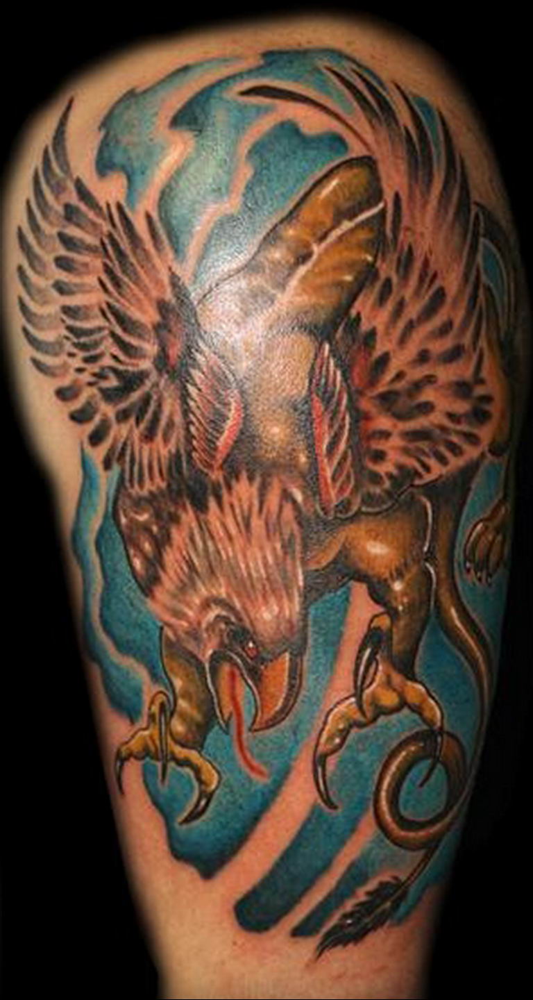 photo tattoo griffin 04.03.2019 №120 - idea for drawing a tattoo with a griffin - tattoovalue.net
