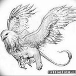 photo tattoo griffin 04.03.2019 №121 - idea for drawing a tattoo with a griffin - tattoovalue.net