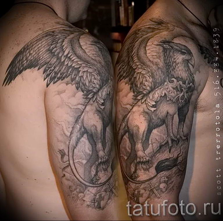 photo tattoo griffin 04.03.2019 №125 - idea for drawing a tattoo with a griffin - tattoovalue.net