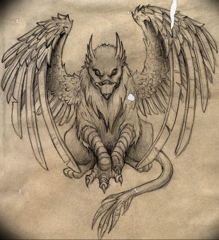 photo tattoo griffin 04.03.2019 №130 - idea for drawing a tattoo with a griffin - tattoovalue.net