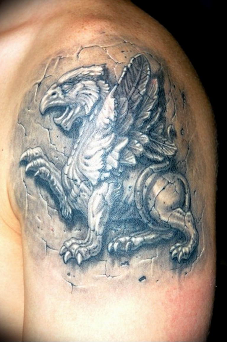 photo tattoo griffin 04.03.2019 №135 - idea for drawing a tattoo with a griffin - tattoovalue.net