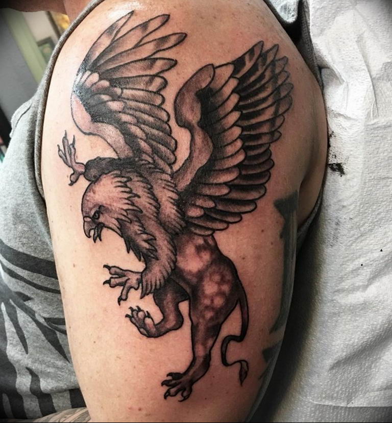 photo tattoo griffin 04.03.2019 №140 - idea for drawing a tattoo with a griffin - tattoovalue.net