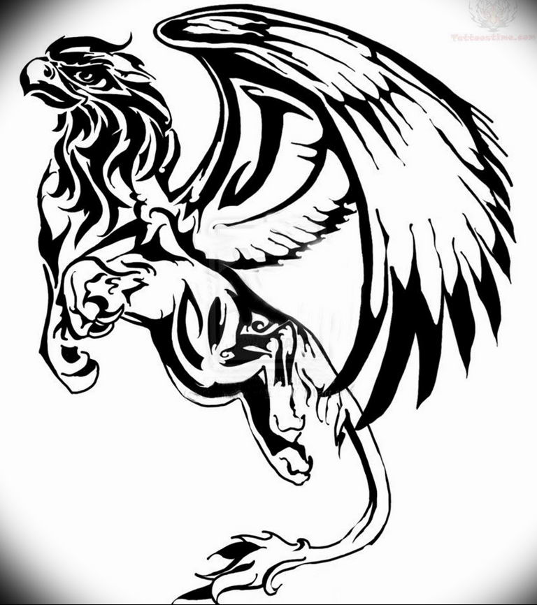 photo tattoo griffin 04.03.2019 №142 - idea for drawing a tattoo with a griffin - tattoovalue.net