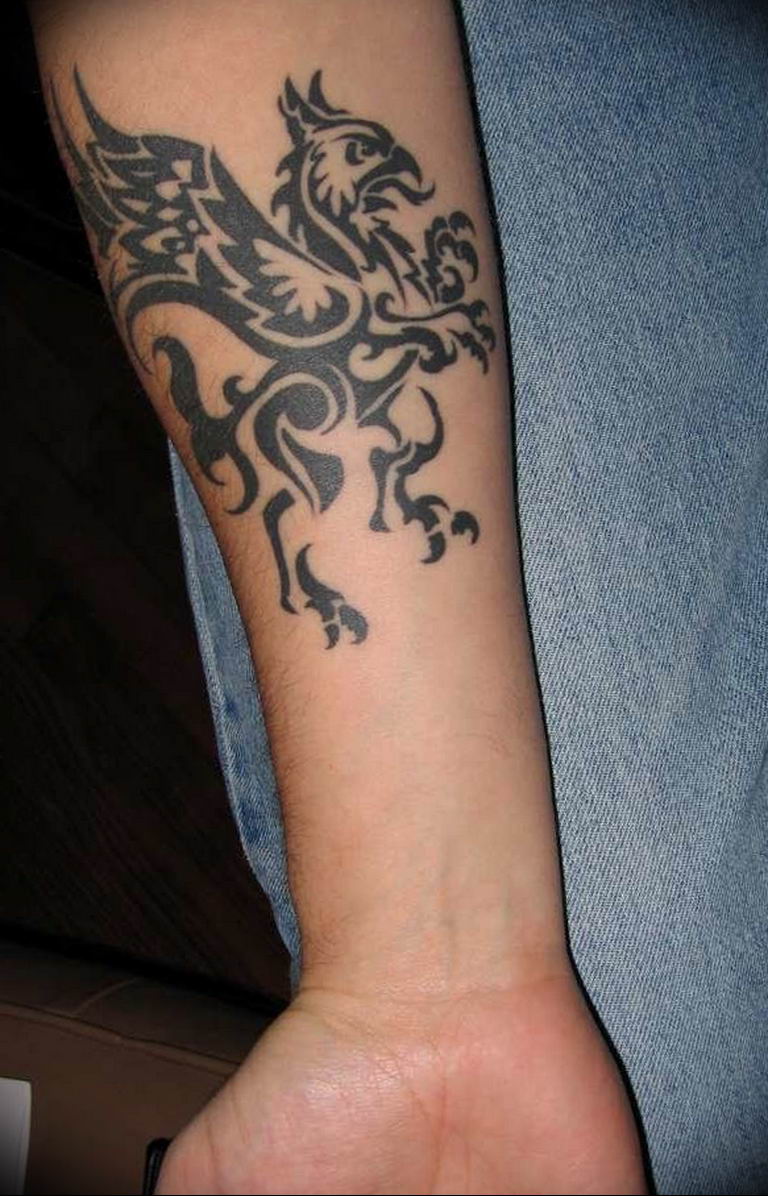 photo tattoo griffin 04.03.2019 №145 - idea for drawing a tattoo with a griffin - tattoovalue.net