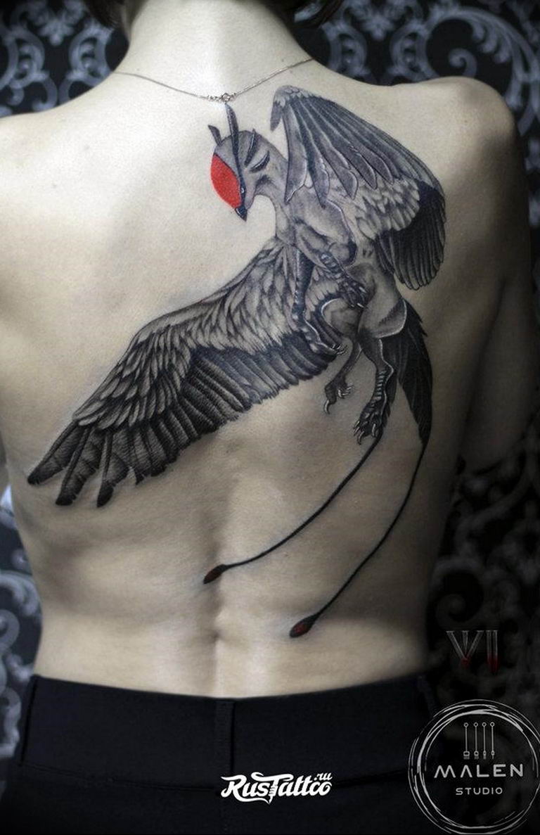 photo tattoo griffin 04.03.2019 №147 - idea for drawing a tattoo with a griffin - tattoovalue.net