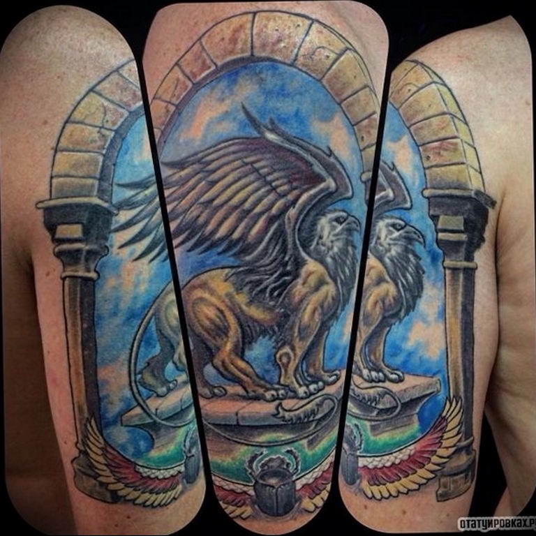photo tattoo griffin 04.03.2019 №148 - idea for drawing a tattoo with a griffin - tattoovalue.net