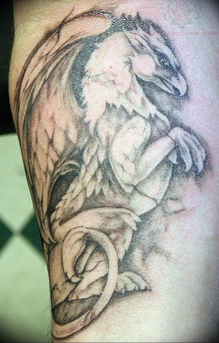 photo tattoo griffin 04.03.2019 №153 - idea for drawing a tattoo with a griffin - tattoovalue.net