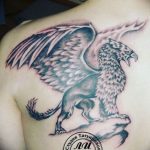 photo tattoo griffin 04.03.2019 №155 - idea for drawing a tattoo with a griffin - tattoovalue.net