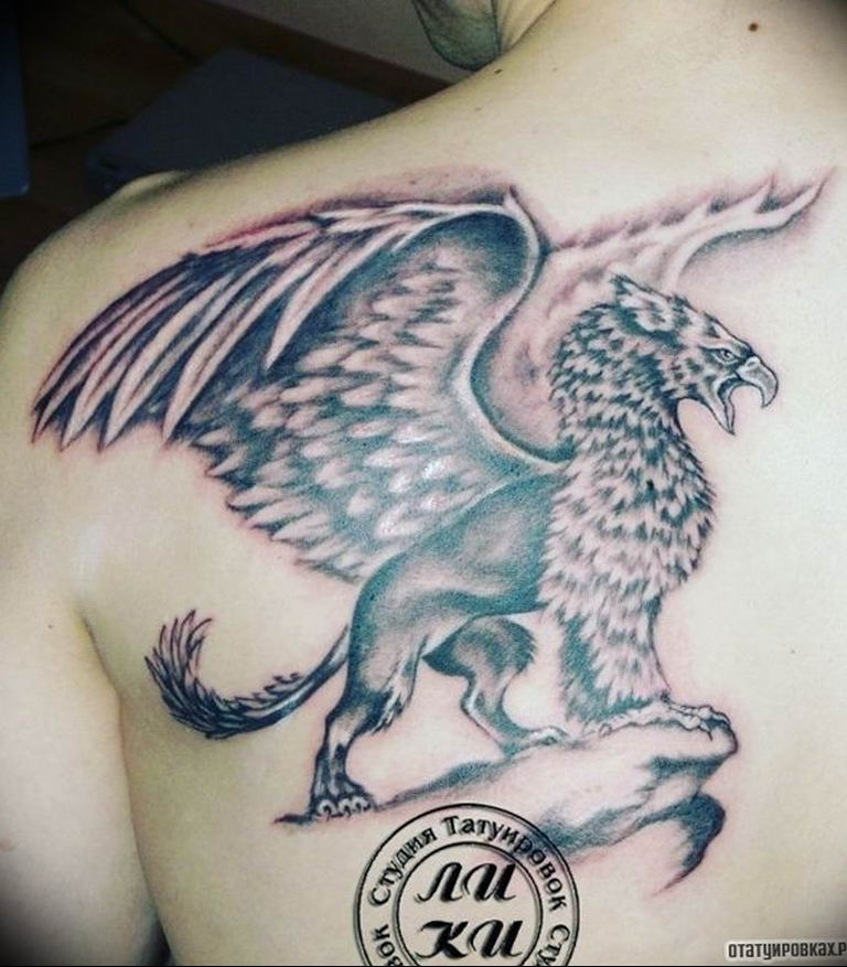 photo tattoo griffin 04.03.2019 №155 - idea for drawing a tattoo with a griffin - tattoovalue.net