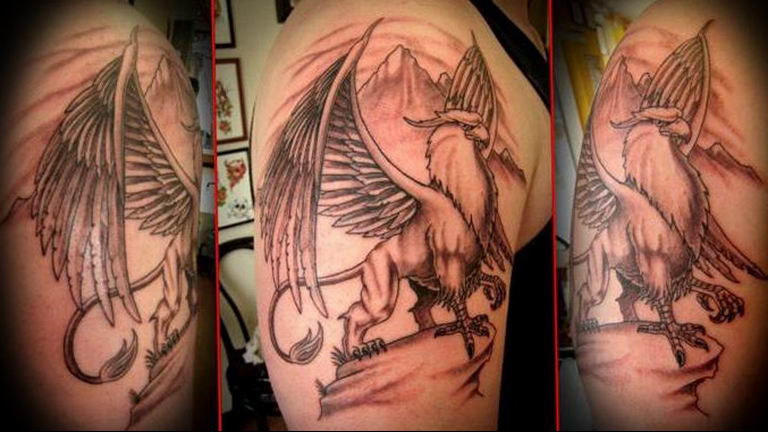 photo tattoo griffin 04.03.2019 №157 - idea for drawing a tattoo with a griffin - tattoovalue.net