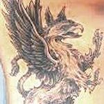 photo tattoo griffin 04.03.2019 №160 - idea for drawing a tattoo with a griffin - tattoovalue.net