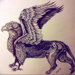 photo tattoo griffin 04.03.2019 №165 - idea for drawing a tattoo with a griffin - tattoovalue.net