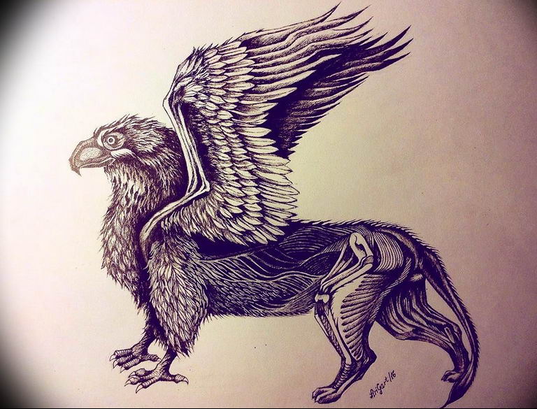 photo tattoo griffin 04.03.2019 №165 - idea for drawing a tattoo with a griffin - tattoovalue.net