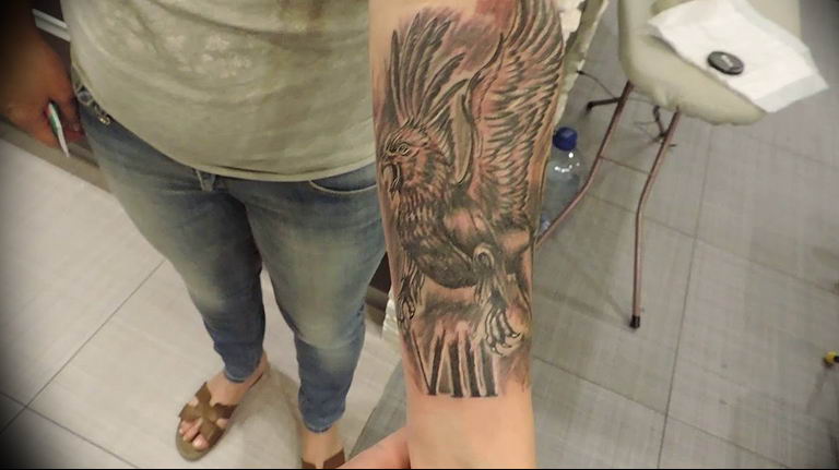 photo tattoo griffin 04.03.2019 №171 - idea for drawing a tattoo with a griffin - tattoovalue.net