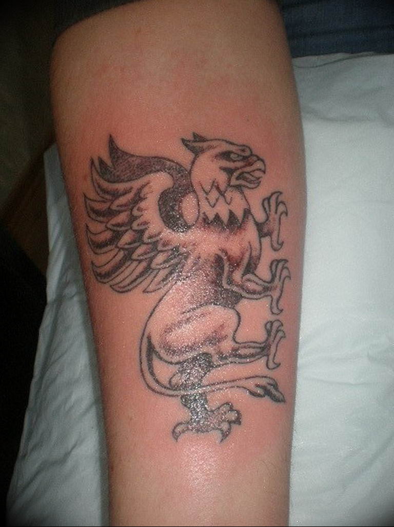 photo tattoo griffin 04.03.2019 №172 - idea for drawing a tattoo with a griffin - tattoovalue.net