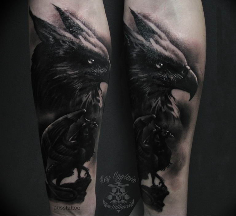 photo tattoo griffin 04.03.2019 №174 - idea for drawing a tattoo with a griffin - tattoovalue.net