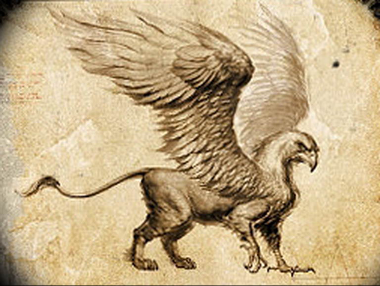 photo tattoo griffin 04.03.2019 №181 - idea for drawing a tattoo with a griffin - tattoovalue.net
