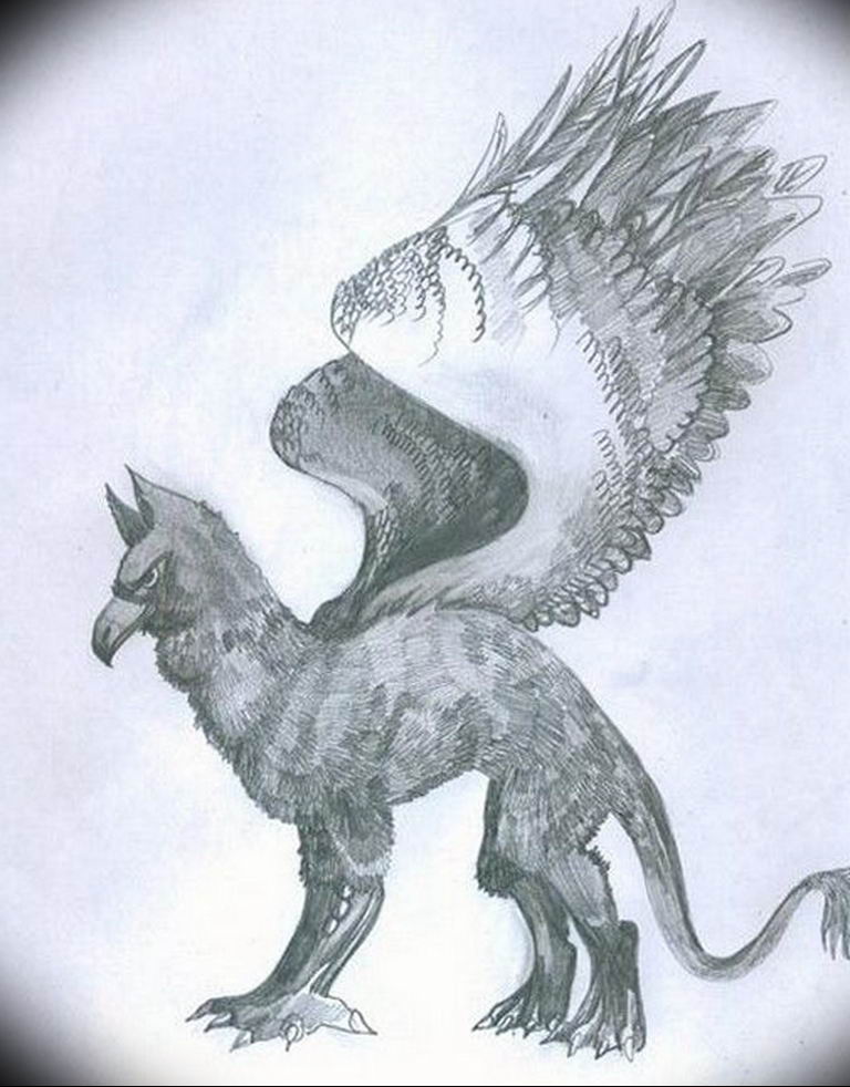 photo tattoo griffin 04.03.2019 №183 - idea for drawing a tattoo with a griffin - tattoovalue.net