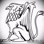 photo tattoo griffin 04.03.2019 №186 - idea for drawing a tattoo with a griffin - tattoovalue.net
